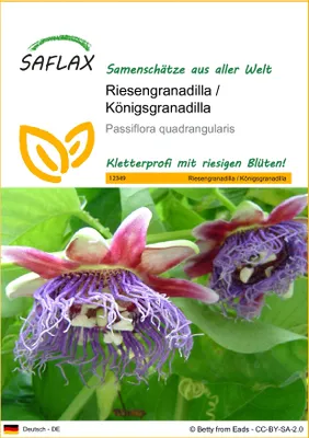 Produktbild von SAFLAX - Riesengranadilla / Königsgranadilla - Passiflora quadrangularis - 12 Samen