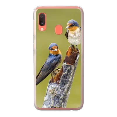 Produktbild von MuchoWow® Handyhülle Schutzhülle Hülle für Samsung Galaxy A20e Vögel - Zweig - Porträt Silikon Softcase Handy Hülle - Abdeckung