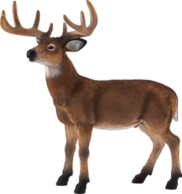 Obrázok produktu pre Mojo Fun White Tailed Deer Buck, 3 rok / roky, Wildlife, Hnedá, Biela, Polyvinylchlorid (PVC)