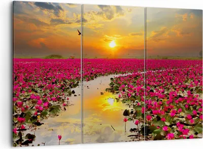 Produktbild von Bild auf Leinwand - Leinwandbild - See Blumen - 105x70cm - Wand Bild - Wanddeko - Wandbilder - Leinwanddruck - Bilder - Kunstdruck - Wanddekoration - Leinwand bilder - Wandkunst - CE105x70-3769