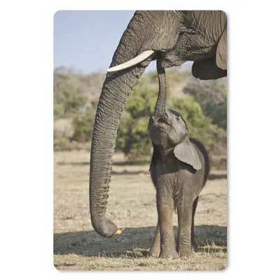 Produktbild von MuchoWow® Mauspad Mousepad Elefant - Tiere - Gras - Natur 18x27 cm - Mousepads - Maus Mat - Pad - Mausunterlage