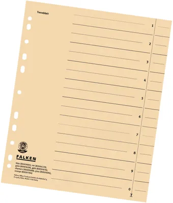 Produktbild von Falken Falken Trennblätter, 24 x 30cm, 230g/m², durchgefärbt, 100er Poly chamois