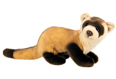Productafbeelding van Fret knuffel - 40 cm (met staart) - Pluche iltis - Huisdier knuffeldier