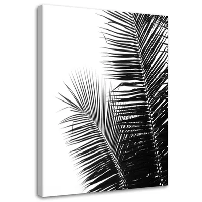 Produktbild von Leinwandbild palmenblätter 60x90 cm Feeby grau wandbild bereit zum aufhängen