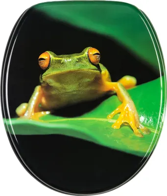 Produktbild von SANILO® WC-Sitz mit Absenkautomatik Frosch Grün, Toilettendeckel direkt vom Hersteller, Klodeckel, Klobrille, WC Deckel, Toilettensitz, WC Brille