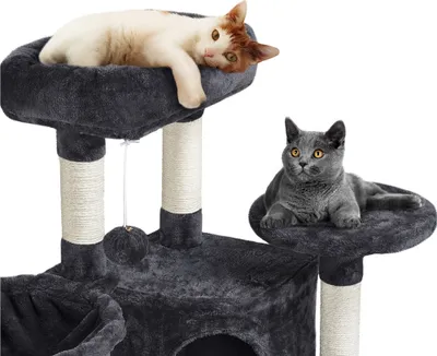 Two cats are resting on a multi-level cat tree.