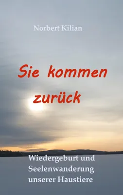 Produktbild von Sie kommen zurück