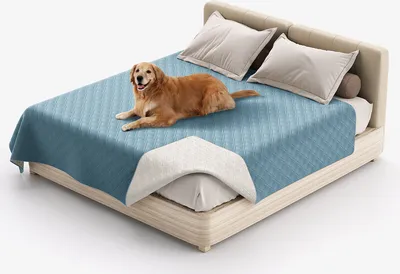 Image de (82x86 pouces, bleu clair) 100% imperméable couverture de lit pour chien couverture pour animaux de compagnie canapé protection pour meubles lit canapé réversible