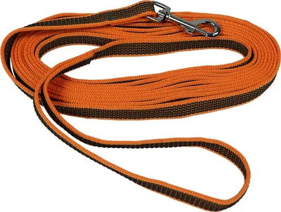 Produktbild von EQuest Gummierte Schleppleine für Hunde - mit Handschlaufe, 5 m - orange