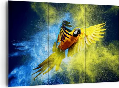 Produktbild von Bild auf Leinwand - Leinwandbild - Papagei Vogel Feder - 165x110cm - Wand Bild - Wanddeko - Leinwanddruck - Bilder - Kunstdruck - Wanddekoration - Leinwand bilder - Wandkunst - CE165x110-3666