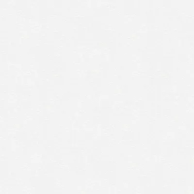 Produktbild von A.S. Création Vliestapete Meistervlies Pro Protect 2, weiss, überstreichbar, 25,00 m x 1,06 m, 248817, 2488-17