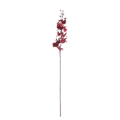 Obrázok produktu pre Orchidea 100cm bordová