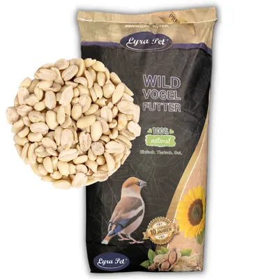 Produktbild von 25 kg Lyra Pet® Erdnusskerne SPLITS Neue Ernte