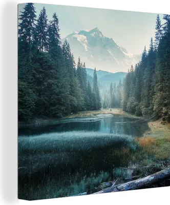 Produktbild von MuchoWow® - Leinwandbilder - Wald - Gras - Berge - Bäume - Natur, Wandbild, Wanddeko Bilder Wohnzimmer, 50x50cm