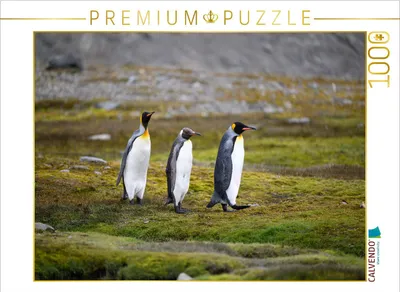 Produktbild von CALVENDO Puzzle Königspinguinpärchen mit Jungem | 1000 Teile Lege-Größe 64x48cm Foto-Puzzle für glückliche Stunden