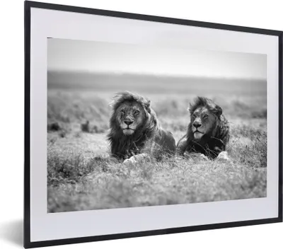 Produktbild von MuchoWow® Gerahmtes Poster Löwen - Tiere - Savanne - Schwarz und weiß 60x40 cm - Poster mit Schwarzem Bilderrahmen Wandposter Rahmen Foto Bilder - Schlafzimmer - Plakat in Rahmen - Drucken