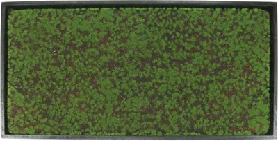 Produktbild von Wandbild Moosrahmen Grün 60x30cm - Künstliches Moos & Dekopflanzen Wanddeko für Büro & Zuhause