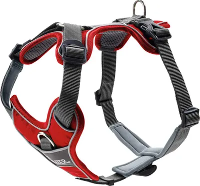 Image de Hunter harnais Divo, couleur:rouge/gris, tailles:S-M
