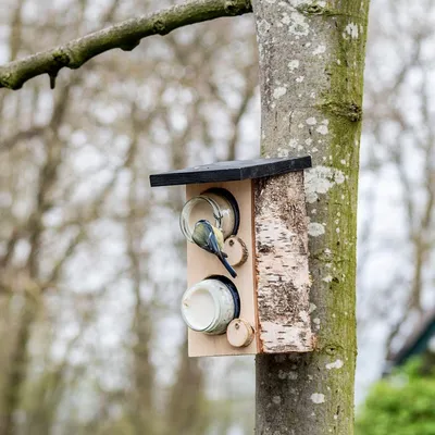 Produktbild von CJ Wildlife Erdnussbutterhaus - Vogelhaus zum Aufhängen - Birke ( 100%) - für 2 Gläser - für Gartenvögel - mit Holzriegel, Schwarz/Braun