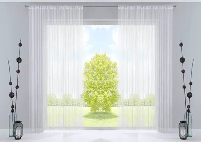 A view through sheer white curtains to a bright, sunny outdoor scene with a large green tree in the center.