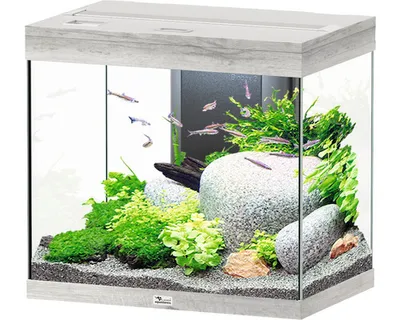 Produktbild von Aquarium aquatlantis Splendid 110 inkl. Beleuchtung, Filter Esche weiß