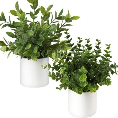 Image de Ensemble de 2 petites plantes artificielles Unyqoos® dans des pots en céramique blanche, hauteur d'environ 20,3 cm et 19 cm, pot d'environ 8,4 x 8,4 cm, plastique non toxique, facile d'entretien
