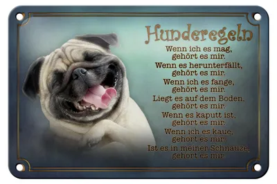 Produktbild von Blechschild Spruch 18x12cm Hunderegeln wenn ich es mag