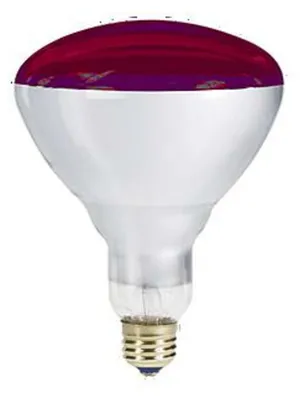 Zdjęcie produktu dla Lampa na podczerwień NBB 175 W, E27, 358213000