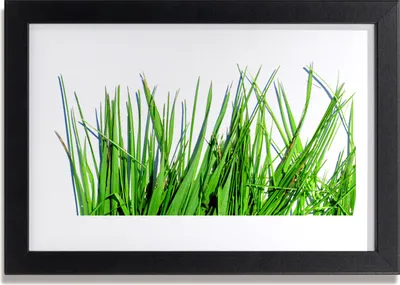 Produktbild von Bild 30x20 MDF-Rahmen Wandkunst Grass On Wall