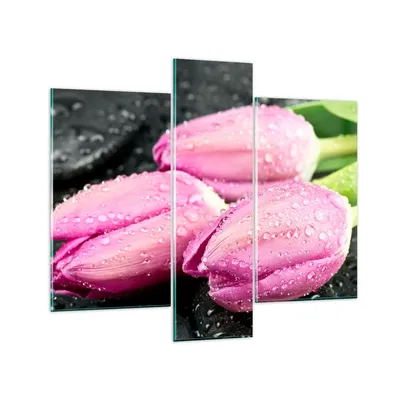 Produktbild von Bilder auf glas - Tulpen Tau Steine Pflanze - 95x80cm - Glasbilder - Wandbilder - Kunstdruck - zum Aufhängen bereit - Wanddekoration aus Glas - Glas Bilder - Wandbild auf Glas - GCB95x80-2485