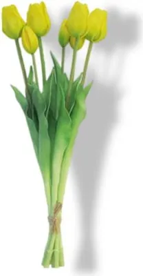 Produktbild von Warentuin Producten