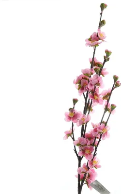 Produktbild von DPI Prunuszweig Pink 80 cm - Kunstblumen