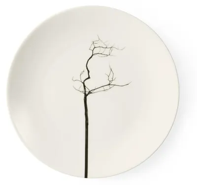 Produktbild von Teller flach 21 cm Black Forest Fine Bone China