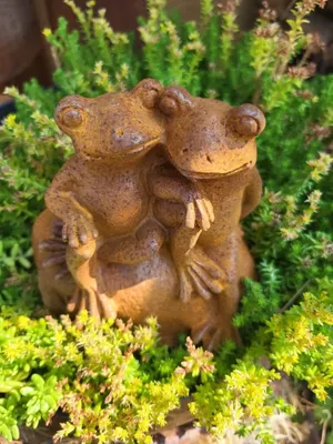 Produktbild von Gusseisen Froschpaar auf Stein