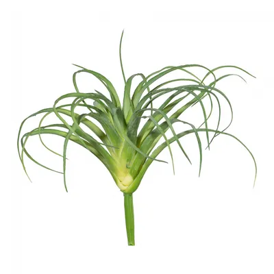 Produktbild von Kunstpflanze TILLANDSIE, künstlicher Grasbusch 15cm/25cm.