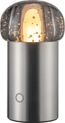 Produktbild von blomus Mobile LED-Leuchte Iris Metallic Finish (10x18cm)