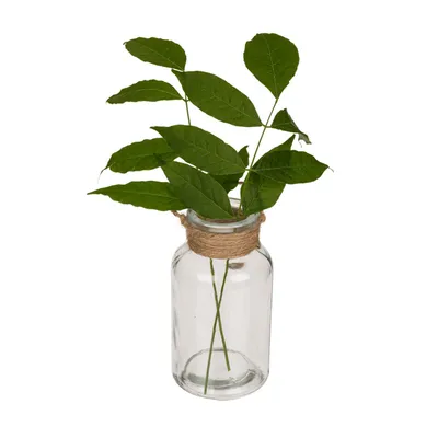 Produktbild von Vase aus Glas mit Juteband ca. 10 cm zum Hängen oder als Tischdeko