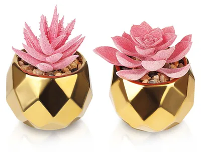 Image de Plantes succulentes artificielles dans des pots en céramique, plantes décoratives pour la chambre à coucher, le salon, la salle de bains et le bureau (rose)