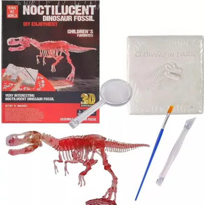 Produktbild von Bei Ausgrabungen wurde ein Dinosaurierskelett gefunden – Trifox