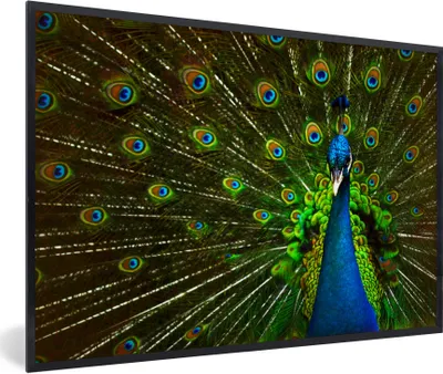 Produktbild von MuchoWow® Gerahmtes Poster Pfau - Federn - Muster - Blau 90x60 cm - Poster mit Schwarzem Bilderrahmen Wandposter Rahmen Foto Bilder - Fotorahmen - Foto-Plakat