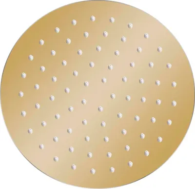 Produktbild von vidaXL Regenbrause Edelstahl 20 cm Rund Golden