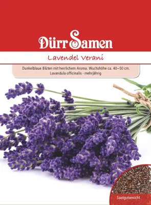 Artikelbild 1 von 'Lavendel Verani' aus der Kategorie Lavendelsamen