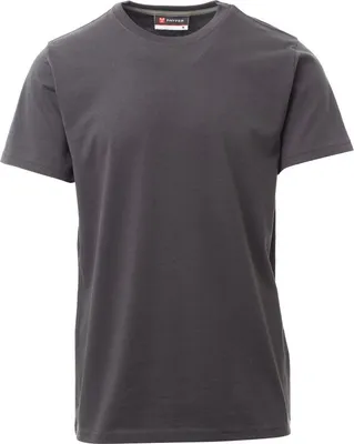 Produktbild von PAYPER T-Shirt SUNRISE – Kurzarm Herren-Shirt aus Baumwolle mit Rundhalsausschnitt, seitlichen Nähten und angenehmer Passform anthrazit L