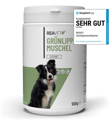 Produktbild von REAVET Grünlippmuschel Extrakt Pulver 500g für Hunde I Grünlippmuschelpulver Hund, Grünlippmuschelextrakt hochdosiert auch für Katze & Pferde I nach behandelter Arthrose, Arthritis