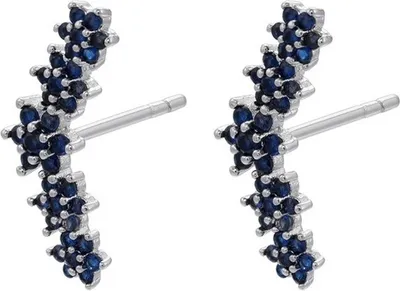 Produktbild von FI-21705 Ohrringe Silber/Blau – Eleganter Schmuck KP21705