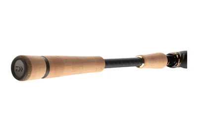 Image de Daiwa Prut Morethan Shad Attac 2,7 m 7-32 g 2 pièces