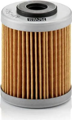Immagine prodotto di Filtro Olio Moto Per Ktm