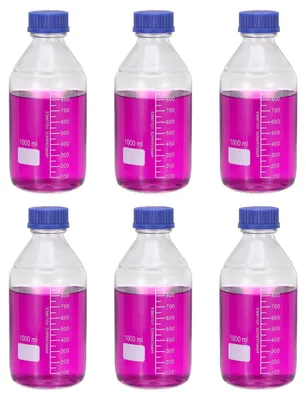 6 Borosilikatglas-Flaschen 1000 ml mit GL32 Deckel