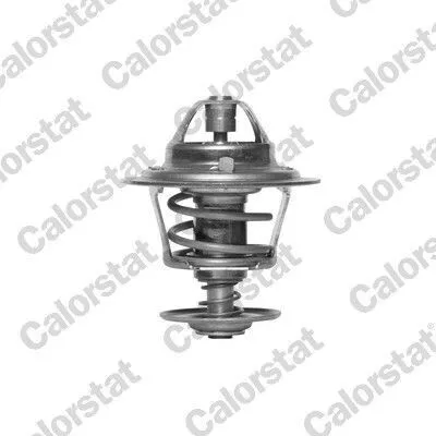 Produktbild von CALORSTAT by Vernet Thermostat + Dichtung