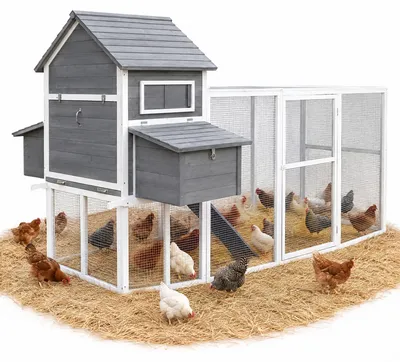 Image de Clapier Melko, poulailler, cage, poulailler, poulailler, cage à lapins